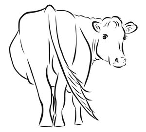 Reflecting on the past five years