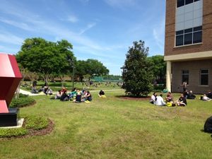 Orlando Code Camp lunch on the campus lawn
