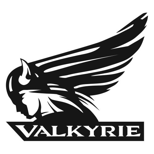 portfolio illustration