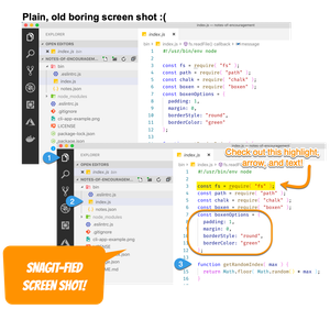 Plain screenshot vs Snagit