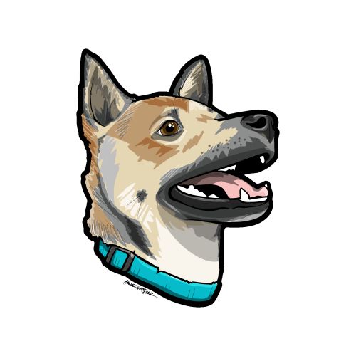 avatar illustration