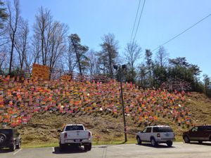 The Pig Hill of Fame