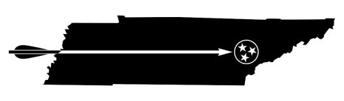 portfolio illustration