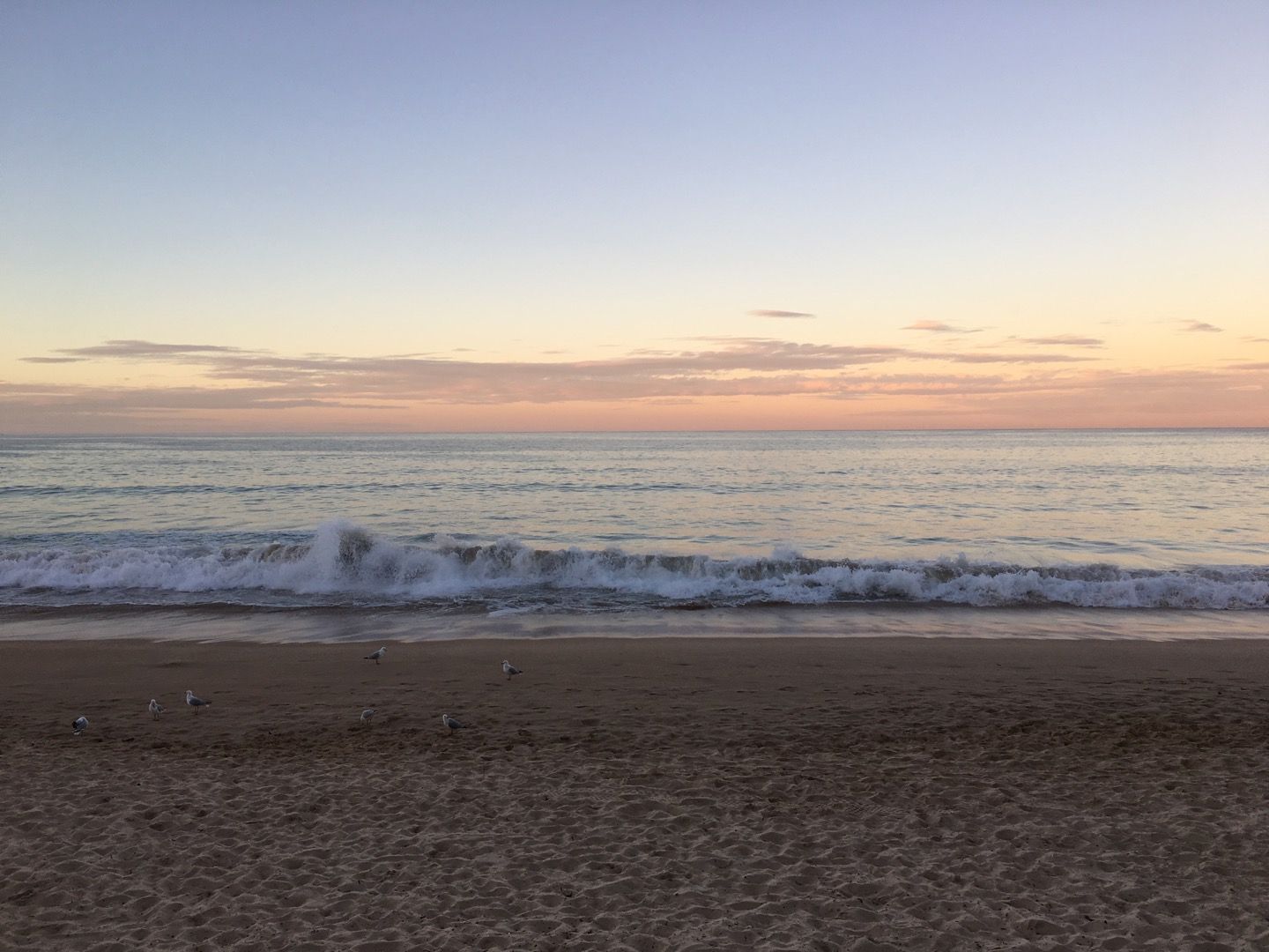 Manly Beach