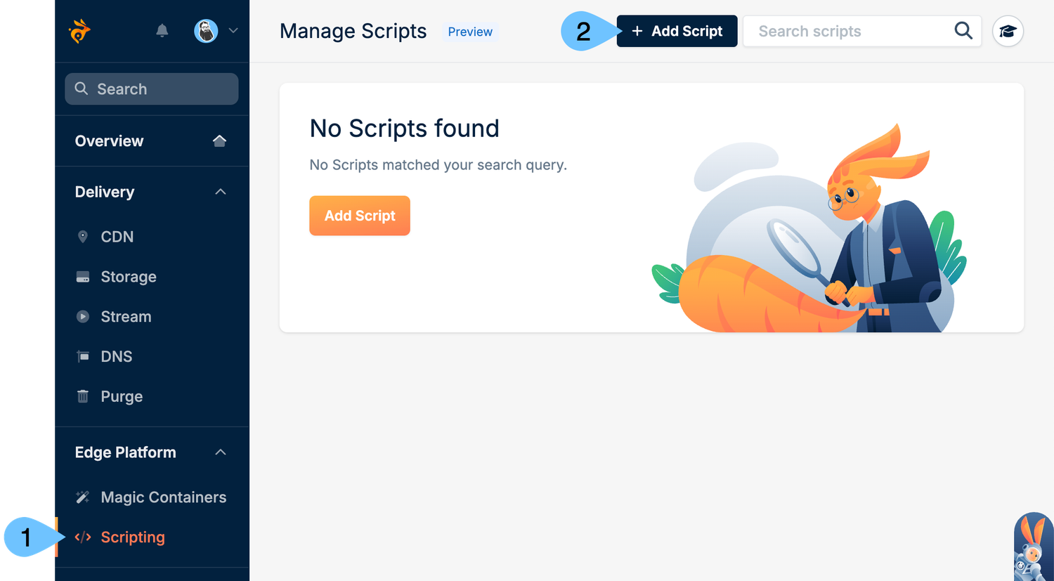 HopCounter: Build a Retro Page View Counter with Bunny Edge Scripting ...