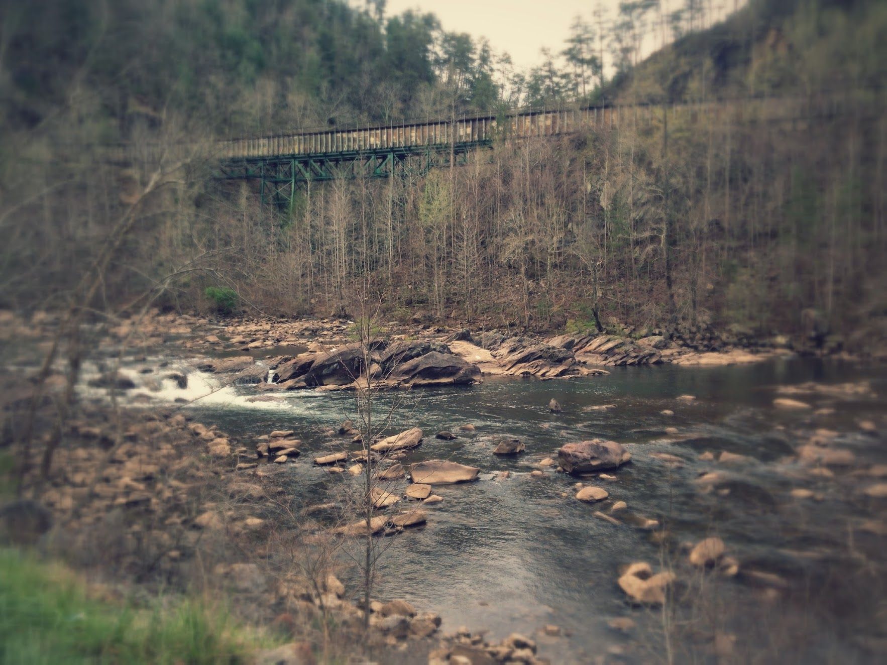Ocoee