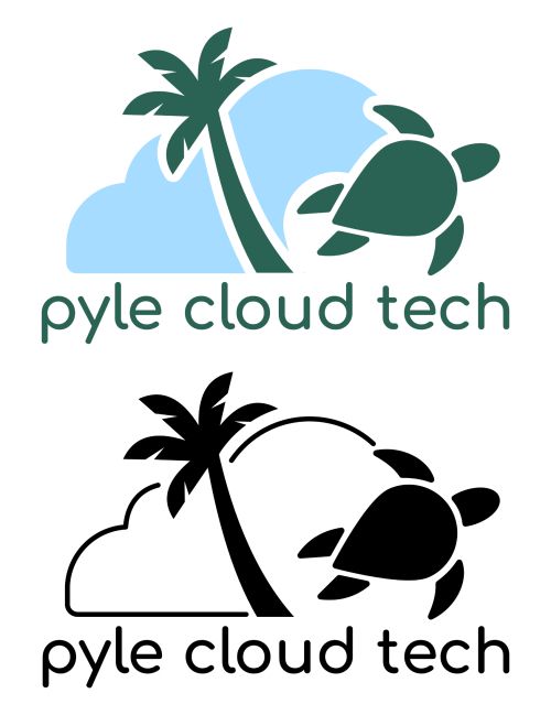 portfolio illustration